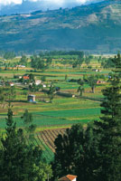 Mosaico agrcola del valle de Sogamoso.