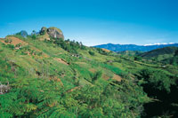El clima templado en las laderas de los montes favorece la diversidad de cultivos; sin embargo, algunos tipos de vegetacin como los guaduales se han visto severamente reducidos. El largo proceso de erosin revela en la superficie la estructura de intrusi