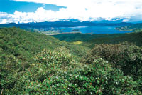 La laguna de La Cocha, hace parte del gran sistema de humedales del norte de Los Andes y est rodeada por bosques en buen estado de conservacin, a pesar de que en algunos sectores presenta fuerte alteracin por la extraccin de carbn vegetal.