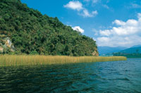 El juncal  que rodea la laguna constituye un hbitat de considerable importancia porque aporta alimentacin y refugio a la fauna.