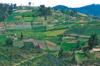 Altiplano de Ipiales, mosaico de cultivos sobre laderas.