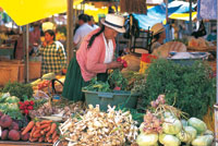 Las cosechas puestas en el mercado revelan la agrodiversidad de una regin.