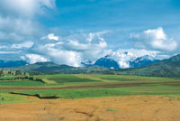 Paisaje agrcola en el altiplano de Cuzco.