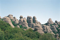 Formaciones de torcas que evidencian el proceso erosivo del antiguo sustrato geolgico de la meseta ibrica, rodeadas por bosques de encinos, Quercus.