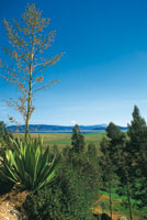 Altiplano lacustre con procesos avanzados de sedimentacin en la laguna de Fquene.
