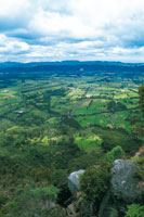 Paisaje de las praderas dedicadas a la ganadera en la Sabana de Bogot.