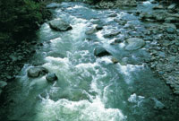 Los ros continan el proceso de excavacin de su cauce y transporte de sedimentos y se constituyen en una de las fuerzas modeladoras del paisaje aluvial del altiplano.