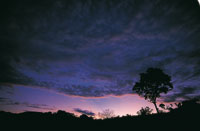 Durante el proceso de formacin de los altiplanos el clima se modific muchas veces; se alternaron pocas muy hmedas con otras extremadamente secas, lo cual incidi en la organizacin y diversidad de los ecosistemas.