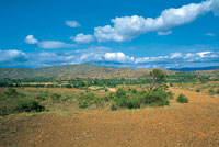Como resultado del proceso histrico de ocupacin humana y de factores climticos locales, el altiplano de Villa de Leyva presenta un paisaje rido y erosionado.