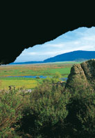 La laguna de La Herrera y sus alrededores son un refugio representativo de la mayor diversidad biolgica del corredor seco del sur del altiplano de la Sabana de Bogot.
