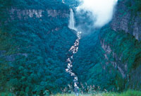 Bosques relictuales en el profundo can, a la salida del Salto de Tequendama.