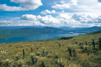 Embalse del Neusa visto desde los pramos circundantes que conservan la vegetacin protectora del pajonal~frailejonal.