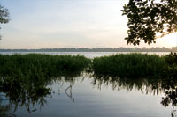 Ro Amazonas al comienzo de la temporada de inundacin.
