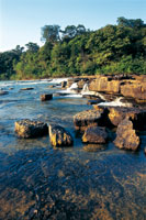 Los cauces de los ros de aguas negras erosionan la dura arenisca del Escudo Guayans formando bloques sueltos y angulosos, que lentamente sern reducidos hasta convertirse en arena fina y blanca.
