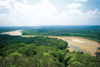 Los ros de aguas blancas, con su enorme carga de sedimentos, forman amplias playas arenosas. Ro Guaviare en el lmite de la selva de transicin con la Orinoquia.