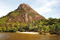 Las condiciones extremas de sequa y de nutrientes se presentan sobre la cima y las laderas del tepuy, donde slo prosperan plantas especializadas, como Bromeliceas, Clusiceas, Velloziceas, Xiridceas.