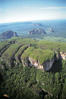 Mesas de la serrana de Chiribiquete con diferentes grados de erosin y profundas grietas. 
