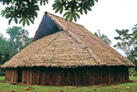 En la maloca viven varias familias pertenecientes a un mismo linaje. Son enormes construcciones donde se llevan a cabo todas las actividades domsticas y algunas rituales.