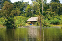 Cabaa de acopio en las riberas del ro Loreto Yac.
