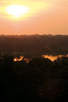 Por estar localizada sobre la zona ecuatorial, la selva tropical recibe durante todo el ao abundante energa solar que hace de ella uno de los ecosistemas ms productivos del planeta.