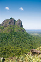 Antiguas formaciones geolgicas del Macizo Guayans forman tepuyes fuertemente erosionados.