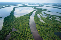 Paisaje complejo de diques, bacines, orillares y antiguos cauces mendricos durante la estacin de aguas altas del ro Amazonas.
