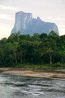 Selva de mediana altura, de 15 a 20 m,
que crece sobre los suelos desarrollados en las areniscas del Escudo Guayans, y constituye la vegetacin dominante en el nivel ms bajo de los tepuyes.