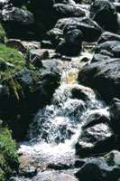 Aguas turbulentas, cristalinas y cargadas de oxgeno caracterizan los ros y quebradas de alta montaa.