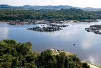 Paisaje de selva riparia en el ro Orinoco, en la transicin con las sabanas de los Llanos Orientales.