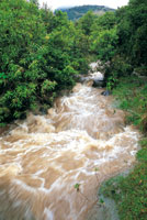 Los ros de las vertientes andinas transportan una elevada carga de sedimentos y materiales arcillosos que arrastran hasta la planicie amaznica.