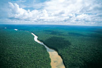Paisaje de la planicie amaznica.