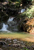 Quebrada de agua cristalina en la serranía del Baudó.