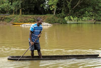 La canoa desempea diversas funciones en la vida de las comunidades negras. Trasporte de materiales.