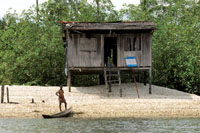 La canoa desempea diversas funciones en la vida de las comunidades negras. Acarreo de conchas.