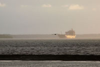 El desarrollo social y económico puede lograrse sin afectar la integridad de los procesos que garantizan la conservación de la biodiversidad.  