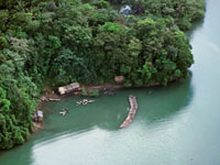 La explotación de los recursos forestales, mineros y pesqueros del Chocó Biogeográfico ha beneficiado poco a sus pobladores.