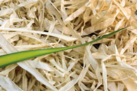 Las comunidades tradicionales han sabido utilizar los recursos que ofrece el medio, como la fibra de la palma wérregue, la madera y otros, sin afectar la biodiversidad de la región.