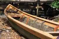 Las comunidades tradicionales han sabido utilizar los recursos que ofrece el medio, como la fibra de la palma wérregue, la madera y otros, sin afectar la biodiversidad de la región.