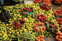 Las comunidades tradicionales han sabido utilizar los recursos que ofrece el medio, como la fibra de la palma wérregue, la madera y otros, sin afectar la biodiversidad de la región.