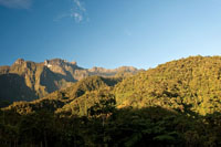 La construcción de carreteras y la consecuente colonización humana pueden causar la fragmentación de ecosistemas estratégicos aún bien conservados.