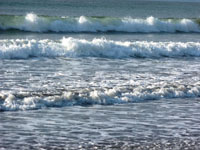 Como consecuencia del cambio climático global, el nivel del mar está experimentando un ascenso que causará el retroceso de la línea de costa y de los manglares.