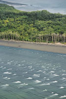 Las zonas deltaicas y las llanuras aluviales costeras son muy vulnerables a la erosión causada por el ascenso del nivel del mar.
