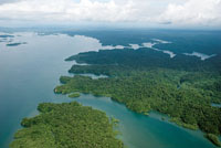 Bahía Málaga y sus bosques aledaños tienen una gran importancia ecológica que debe ser conservada.