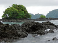 En las áreas protegidas aún se mantienen algunos de los ecosistemas representativos del Chocó Biogeográfico.