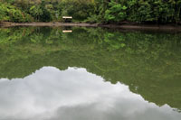 «Podemos vivir, podemos seguir sosteniendo
el equilibrio del mundo si rehacemos nuestros planes de vida, si tocamos con las manos
a nuestros Abuelos Estrellas, si preparamos el corazón». Indígena Tule.