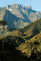 Parque Nacional Natural Tatam. El Choc Biogeogrfico se extiende hasta las altas cumbres de la cordillera Occidental.
