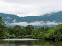 Las altas temperaturas y la elevada humedad del aire se han mantenido casi constantes desde hace 3.000 aos en las zonas bajas del Choc Biogeogrfico.