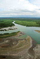 La dinmica fluviomarina ha dado origen a amplias planicies deltaicas en las costas de la mitad sur del Choc Biogeogrfico.