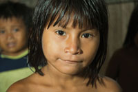 Varias de las etnias aborgenes del Choc Biogeogrfico, como los Embera y los Waunana, son descendientes de pueblos indgenas de la cuenca amaznica.