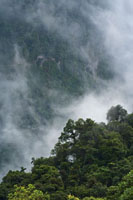 A lo largo de la vertiente de la cordillera Occidental hacia el Pacfico, predomina la alta humedad, desde las clidas costas hasta las fras cumbres.